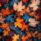 fineart-34