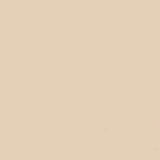 Gdx Kağıt Sonsuz Stüdyo Fon Perde (Egg Nog) 2.70x11 Metre