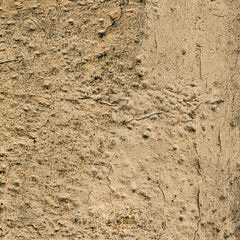 fineart-44