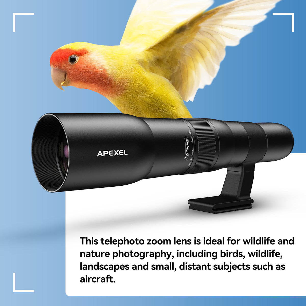 APEXEL TeleCular 50X Telefoto Lens