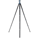 Benro TCBA25G36PT CyanBird Seri 2 Top Kafalı Alüminyum Tripod Kiti