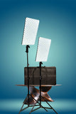 E-Reise PL480  BiColor Profesyonel İkili 100 Watt LED Video Panel Set